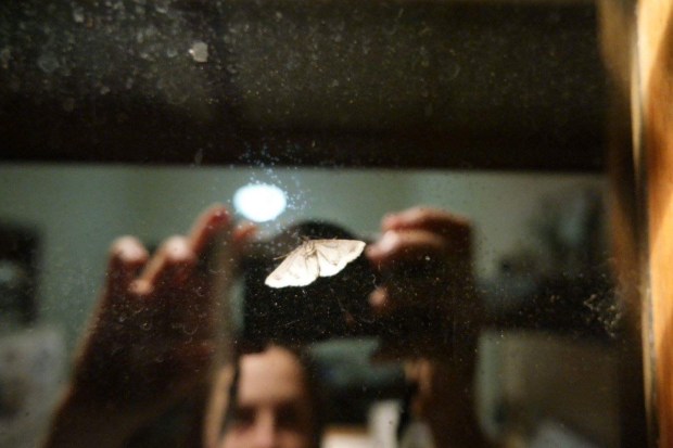 43cef115-9e14-49df-85a0-fd8c25262093-5118-000007bc4d1e5fb9_tmp